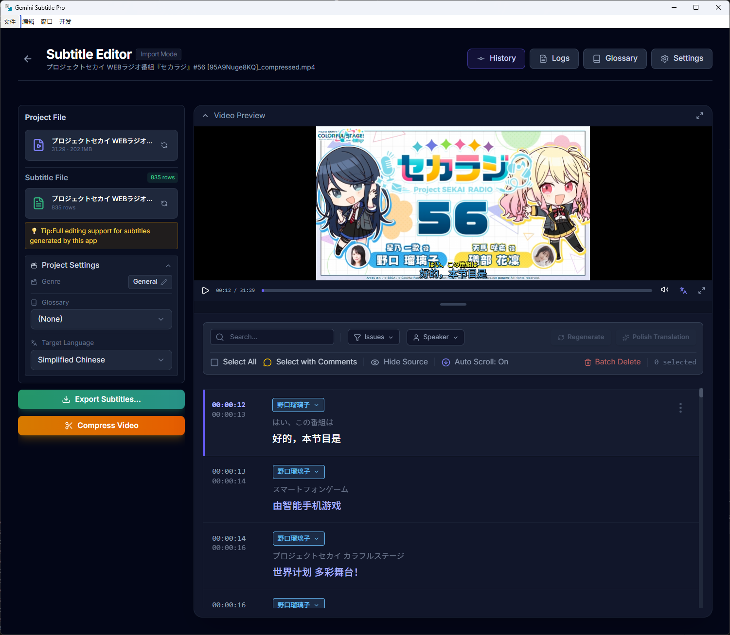 Gemini Subtitle Pro Interface